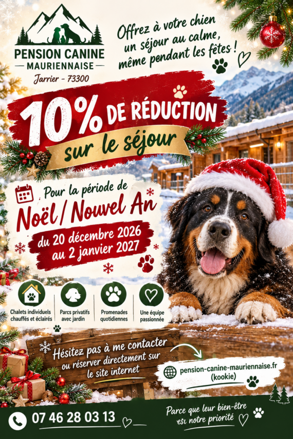 bonjour, je vous propose une promotion pour la période de noel hésitez à réservé place limité