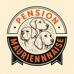 sans filigrane pension